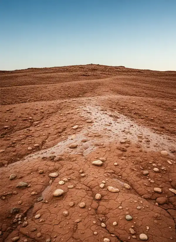 Clay-soil