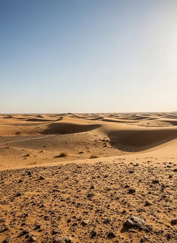 Dry-and-sandy-desert