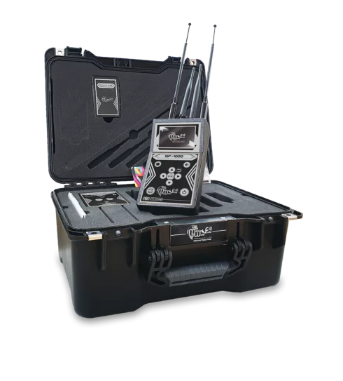 جي اف 1000 - GF1000