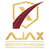 AJAX Detection